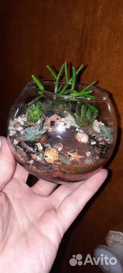Флорариум мини на заказ