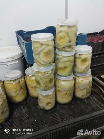 Грузди соленые