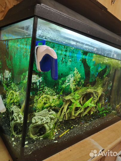 Аквариум с рыбками
