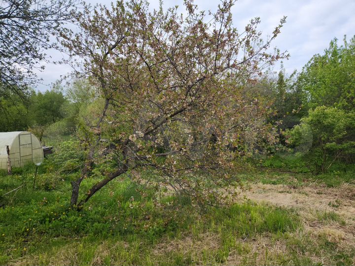 Участок 6 га (ИЖС)