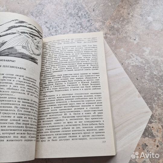 Шанс для динозавра. Кондратов. 1992 г