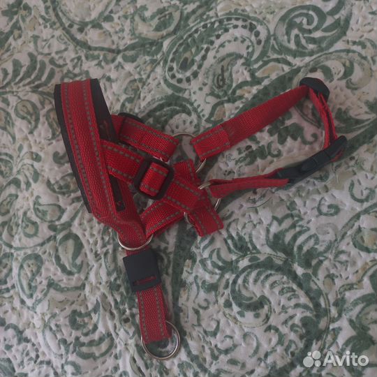 Амуниция для собак