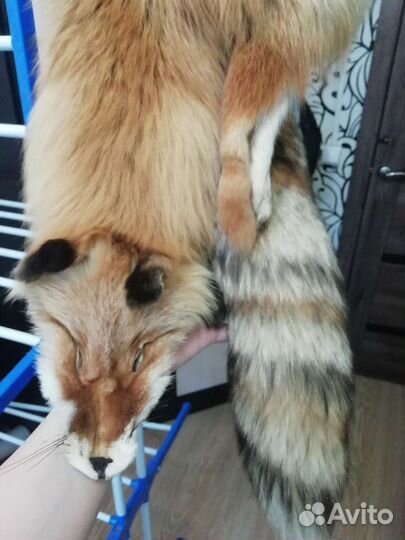 Лисья шкурка