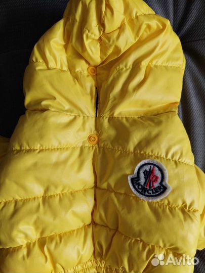 Костюм для собаки