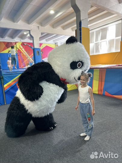 Панда 2,6 метра поздравит