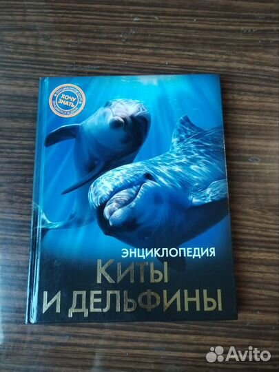 В мире дельфина и осьминога, Святослав Сахарнов