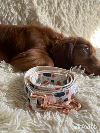 Одежда для собак мелких пород