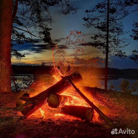 Организация рыбалки