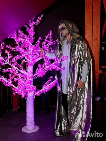 Костюм эльфа серебряный с плащём и жилеткой