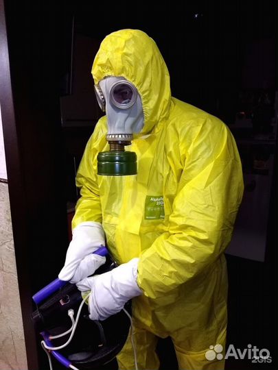 Барнаул Уничтожение Осы Тараканы Клопы Блохи Мыши