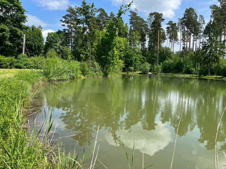 Участок 42 сот. (СНТ, ДНП)