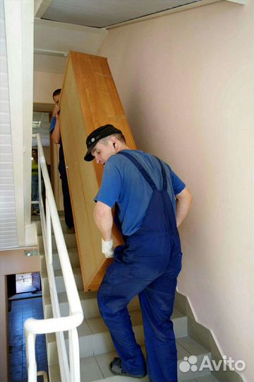 Грузчики / разнорабочие / переезды