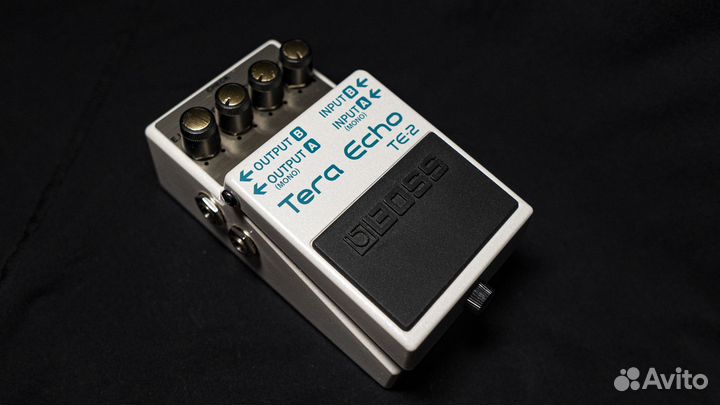 Педаль Boss TE 2 Tera Echo