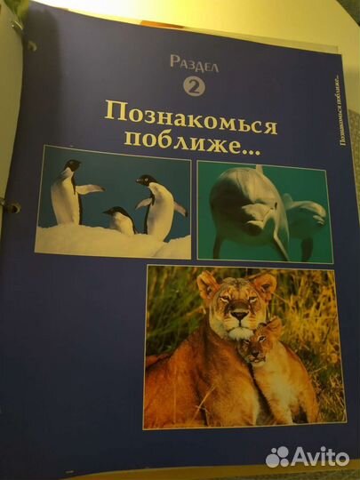 Deacostini, пособие журналы