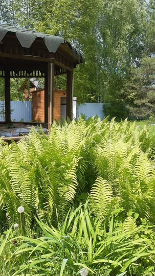 Дача 44 м² на участке 10 сот.