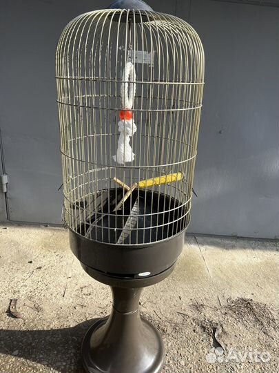 Продам большую клетку для попугая