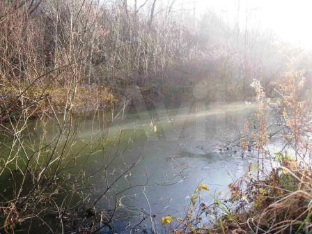 Участок 1,5 га (ИЖС)