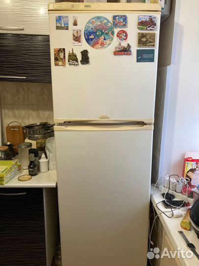 Холодильник stinol