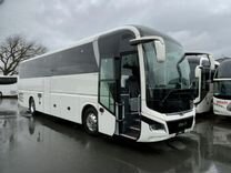 Туристический автобус MAN Lion's Coach, 2023