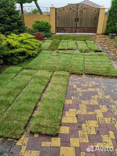 Автоматический полив,капельный полив