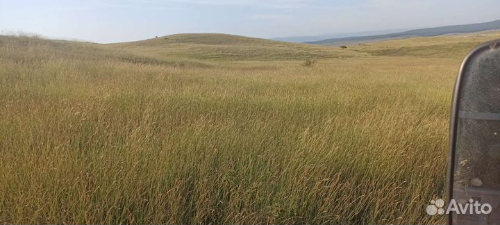 Сено луговое в тюках