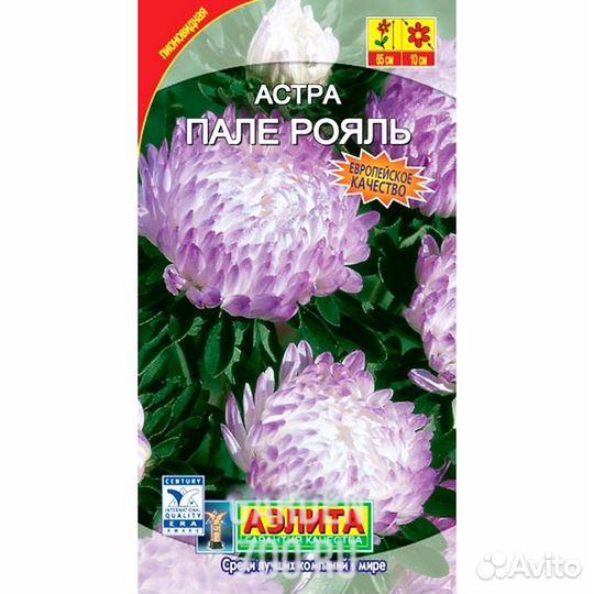 Астра Пале рояль