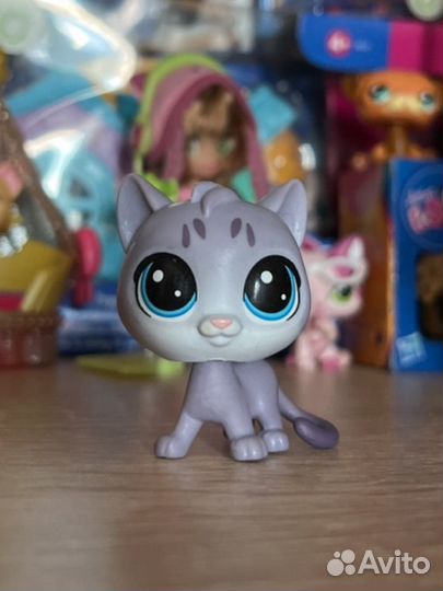 Littlest pet shop