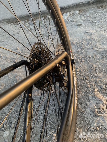 Gt avalanche expert 2020