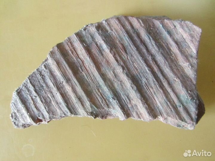 Окаменелость Окаменелое дерево. Сигиллярия