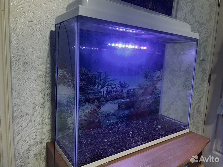 Аквариум
