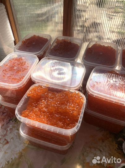 Красная икра 2023