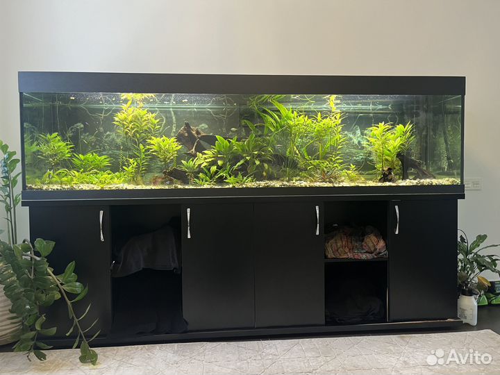 Аквариум с тумбой