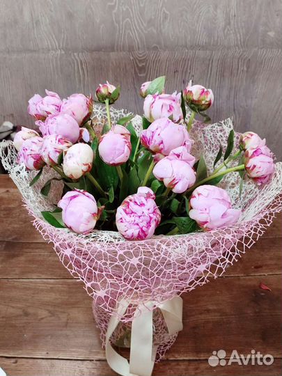 Пионы в Домодедово