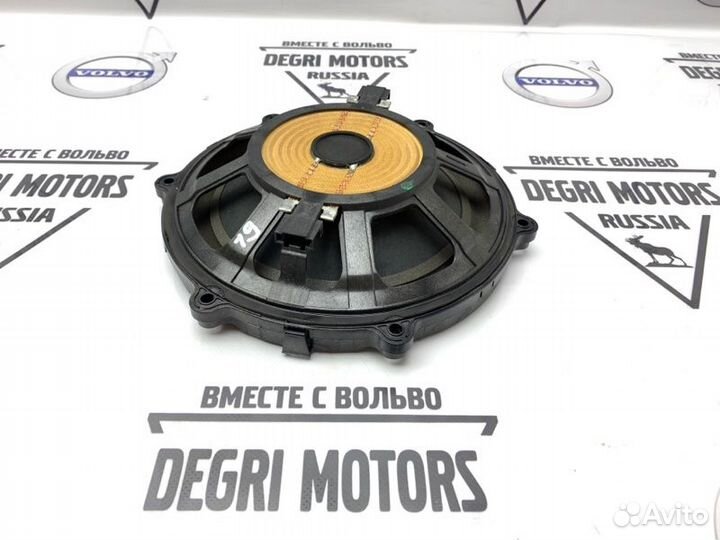 Сабвуфер в дверь багажника Range Rover Sport 1