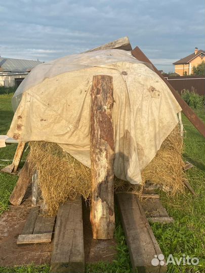 Сено в рулонах