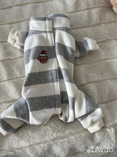 Одежда на собак мелких пород