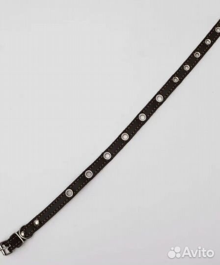 Ошейник для собак мелких пород