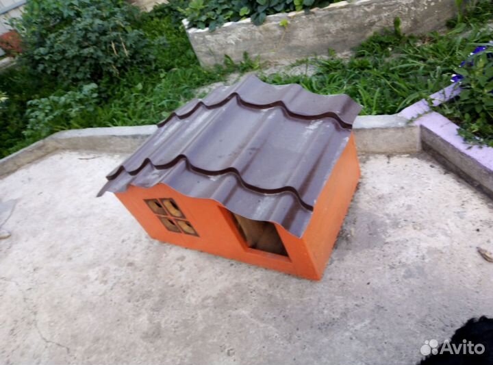 Собачья конура