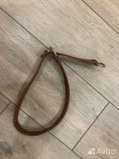 Ошейник для собак