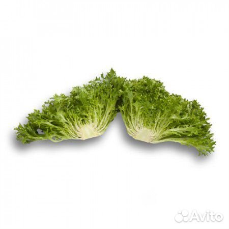 Семена Салата 