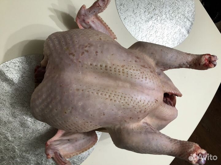 Мясо домашней индейки