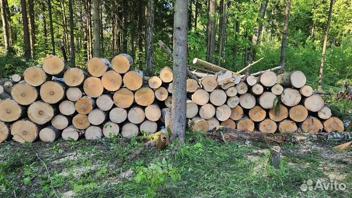 Спил и удаление деревьев в Голицыно, расчистка уча