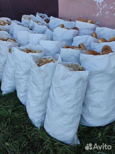 Хлеб батон на корм животным