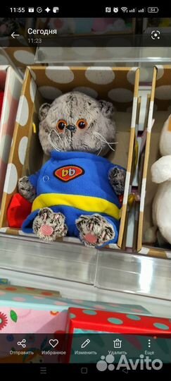 Кот Басик Супермен Басик в костюме Супермена