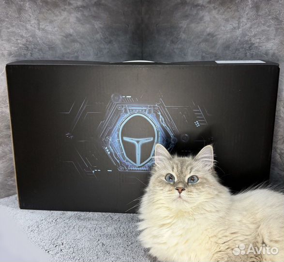 Игровой ноутбук Thunderobot 911X (4070, i7, 1Tb)