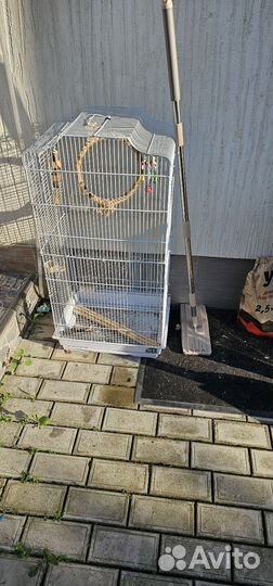 Клетка для попугая
