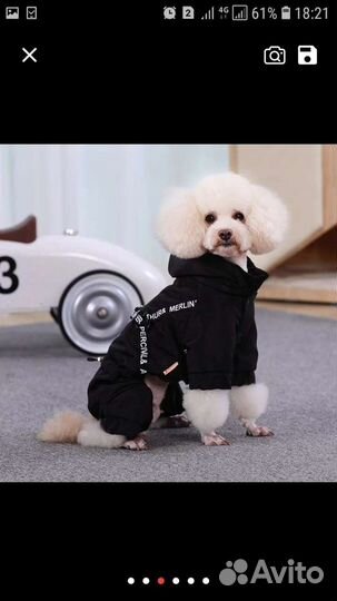Одежда для маленьких собак