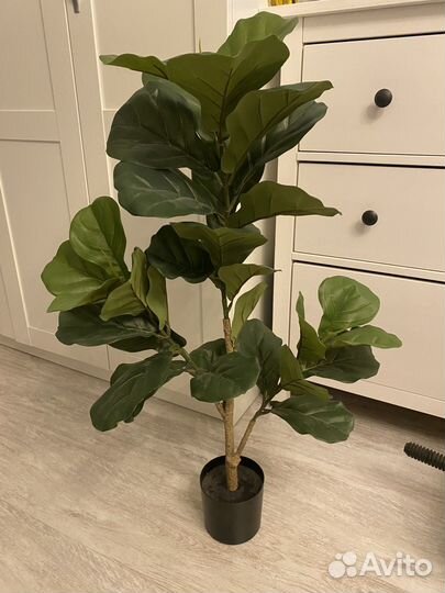 Фикус Лирата искусственный h90см