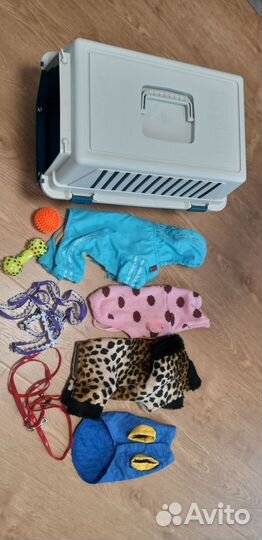 Домик для маленькой собачки и одежда