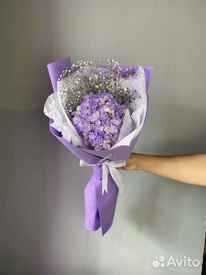 Гортензия в современной упаковке